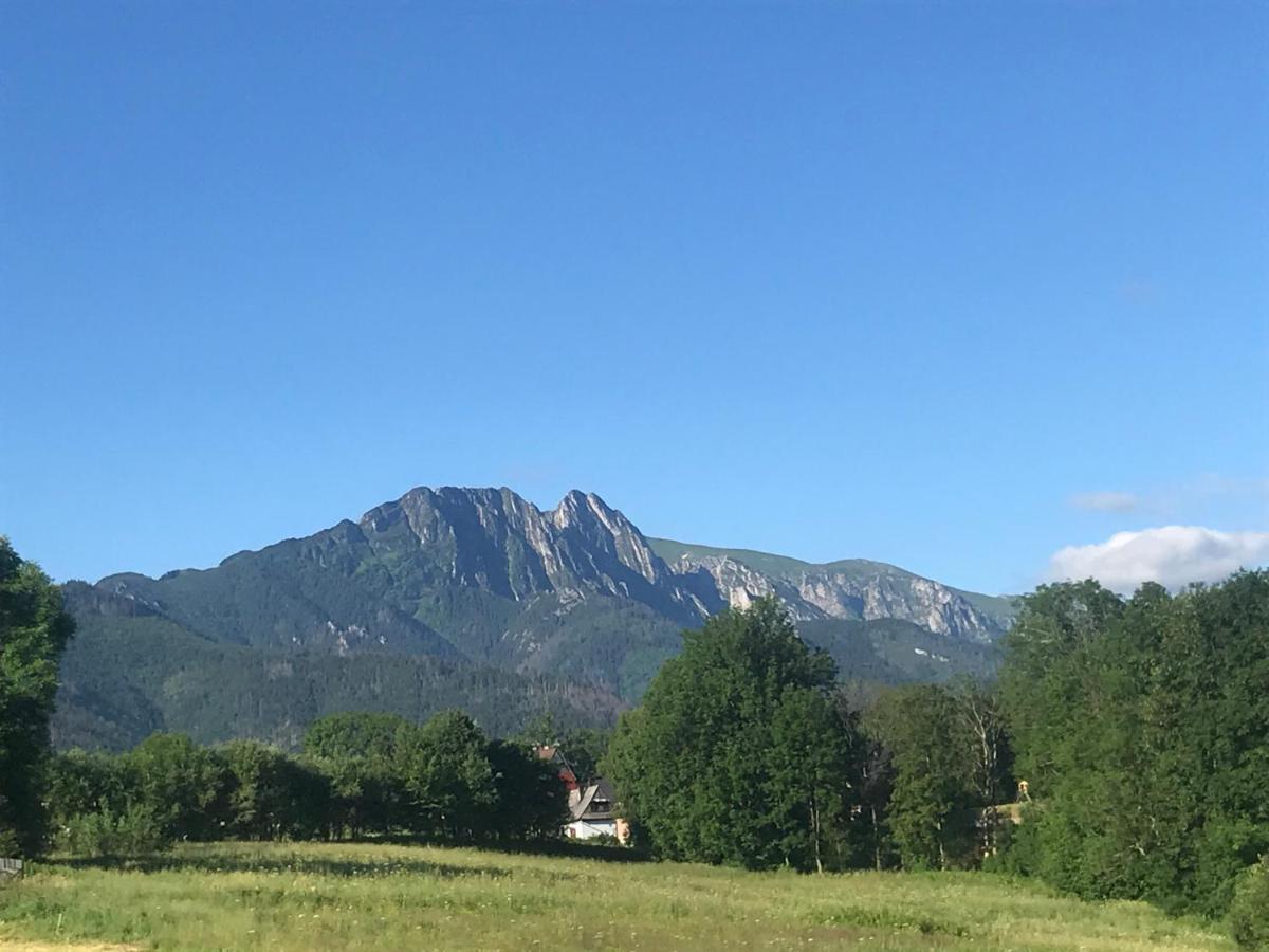 Camping Zakopane Willa Skoczek Exterior photo